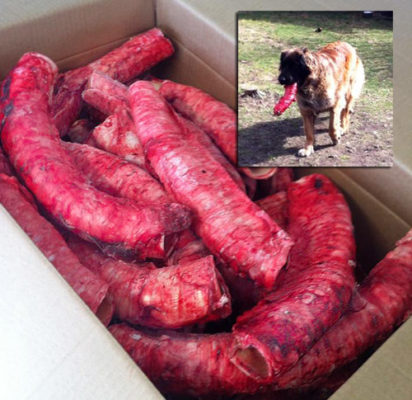 Emmzo BARF Oxstrupe 10-50 cm, hel låda 10 kg