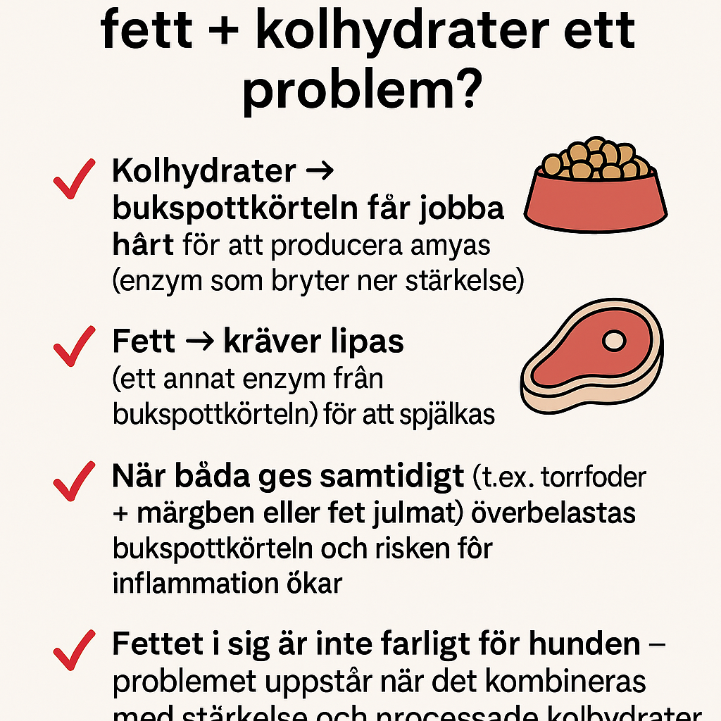fett och kolhydrater, välj rätt hundmat