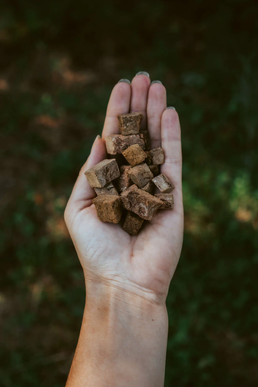 Hokuō® Älglever - Bild 2