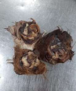 Oxöronsnäckor 1 kg