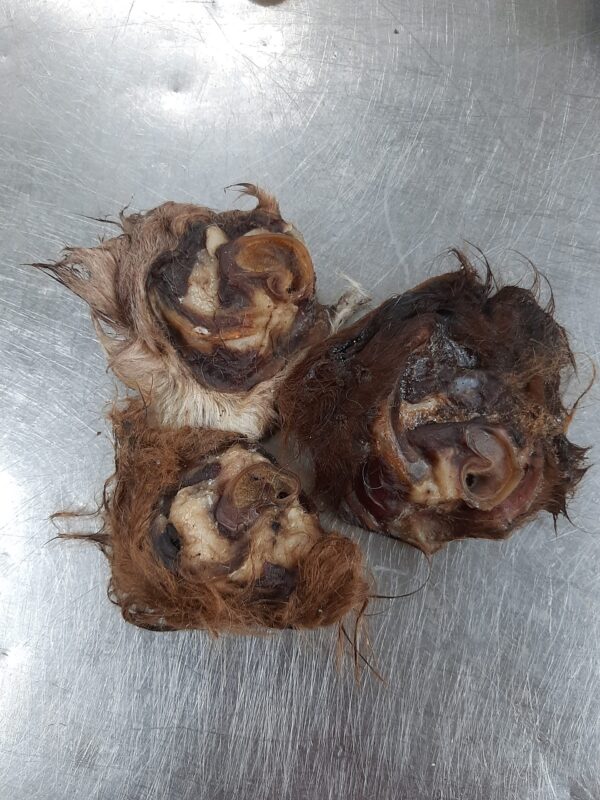 Oxöronsnäckor 1 kg