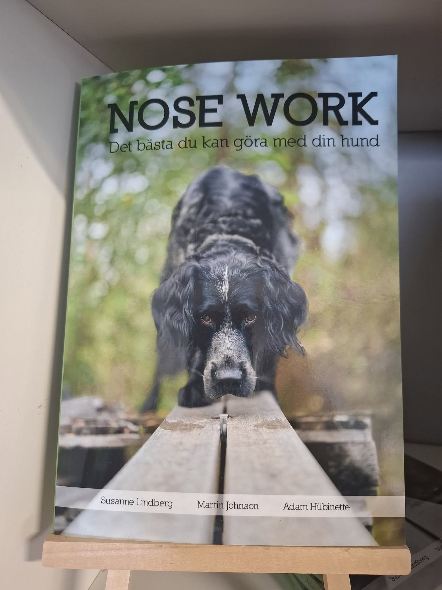 Nose work - det bästa du kan göra med din hund BOK